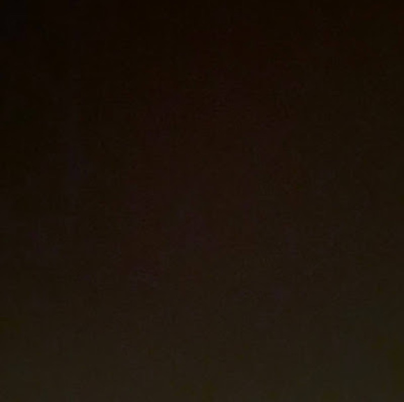 Meet your Posher, Ricky - Picture 1 of 1